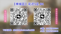 【禅城区】花式S足 #4